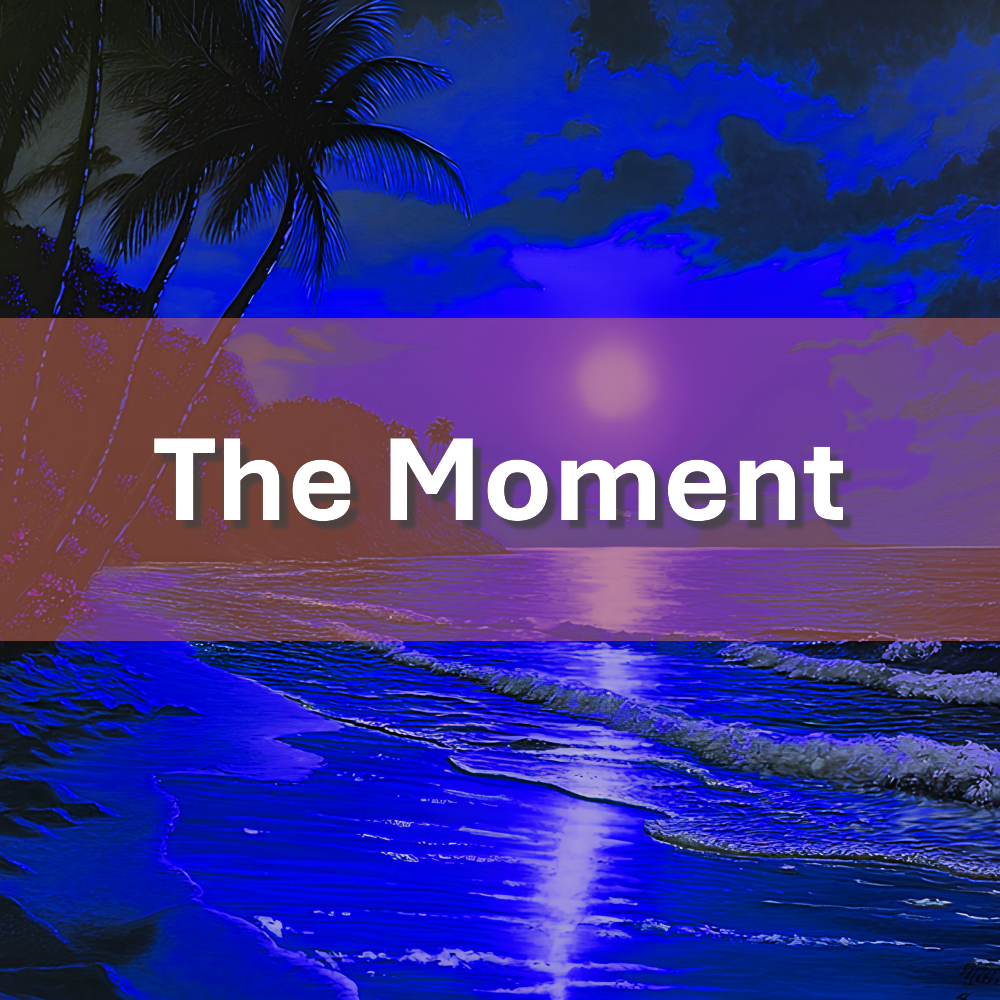 Cover-The-Moment